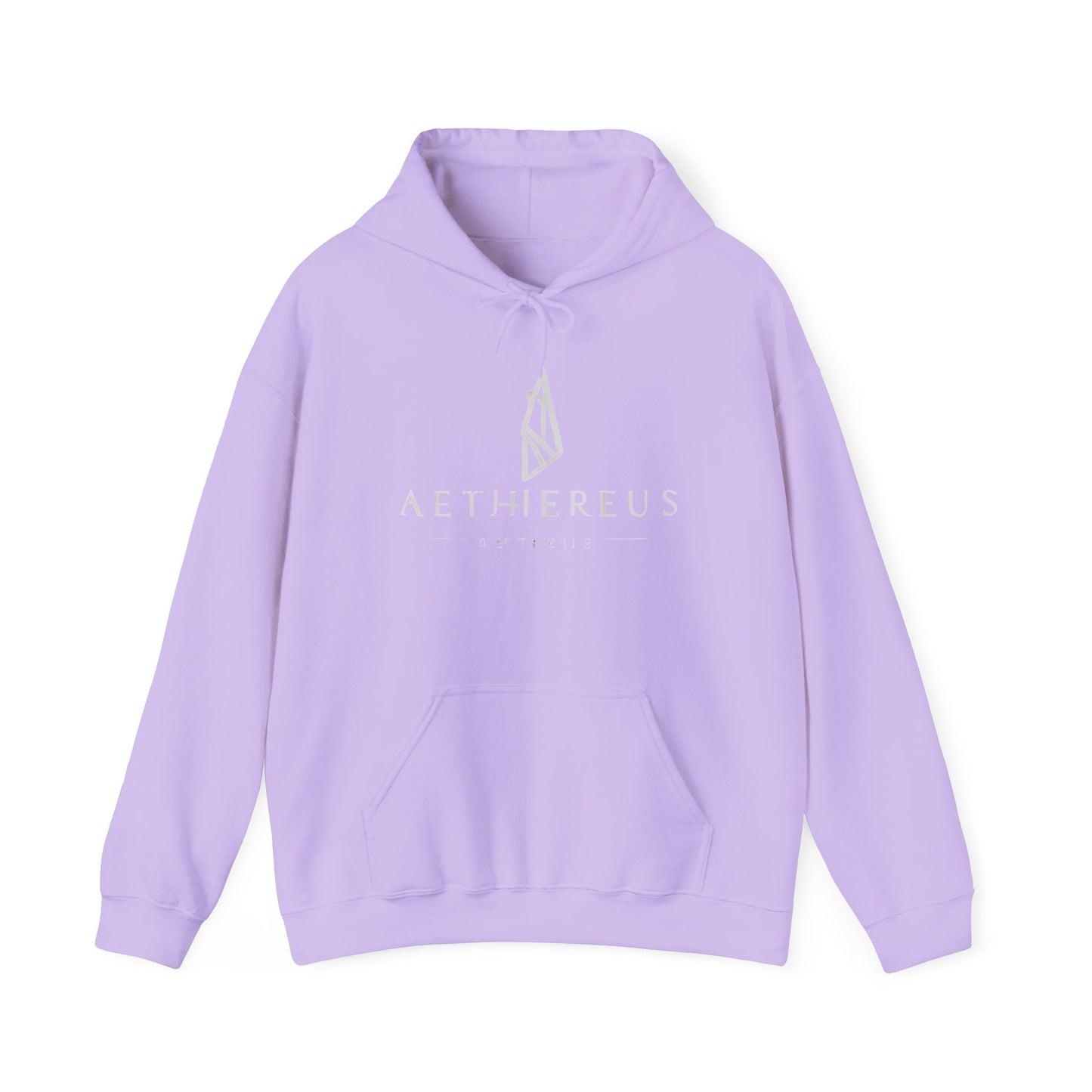 Aethereus Unisex Heavy Blend™ Hooded Sweatshirt - Stag/Matthew 11:28 Back Design