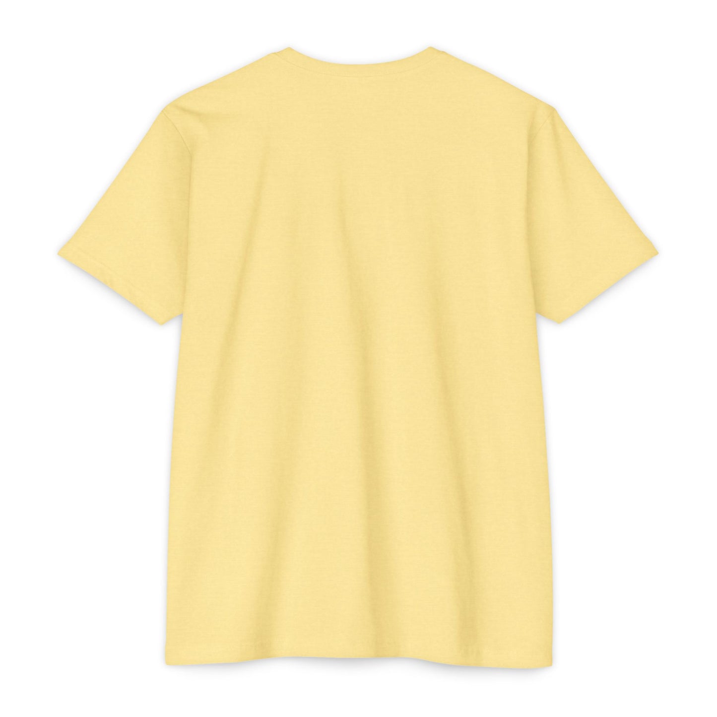 Aethereus T-Shirt - 'It's a Chicken' Design