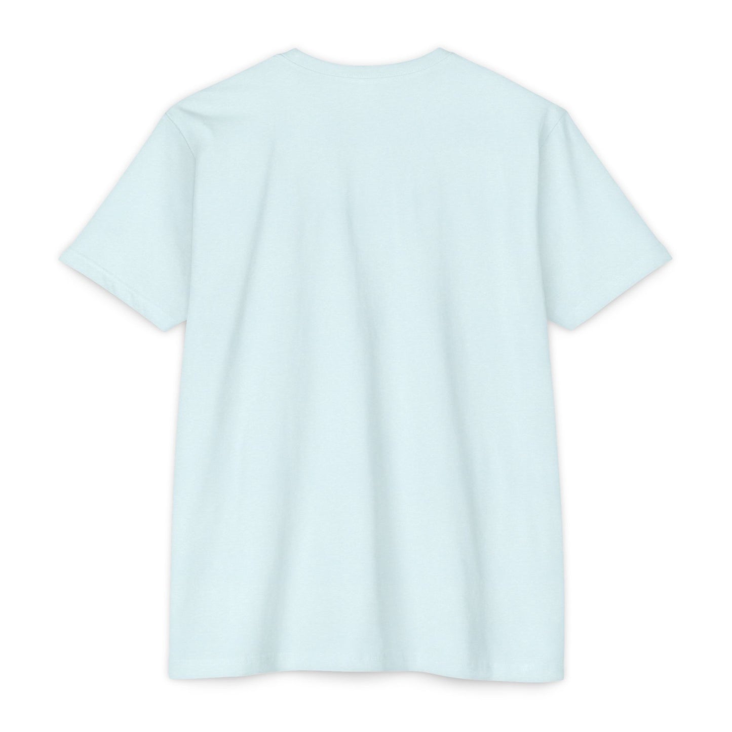 Aethereus T-Shirt - 'It's a Chicken' Design