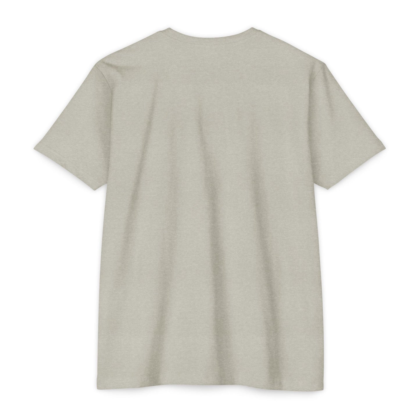 Aethereus T-Shirt - 'It's a Chicken' Design