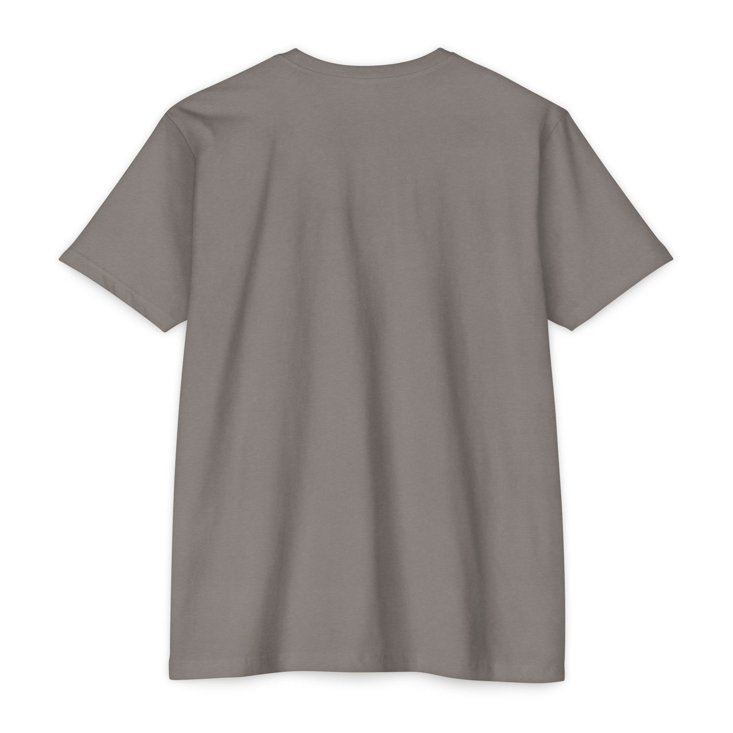 Aethereus T-Shirt - 'It's a Chicken' Design