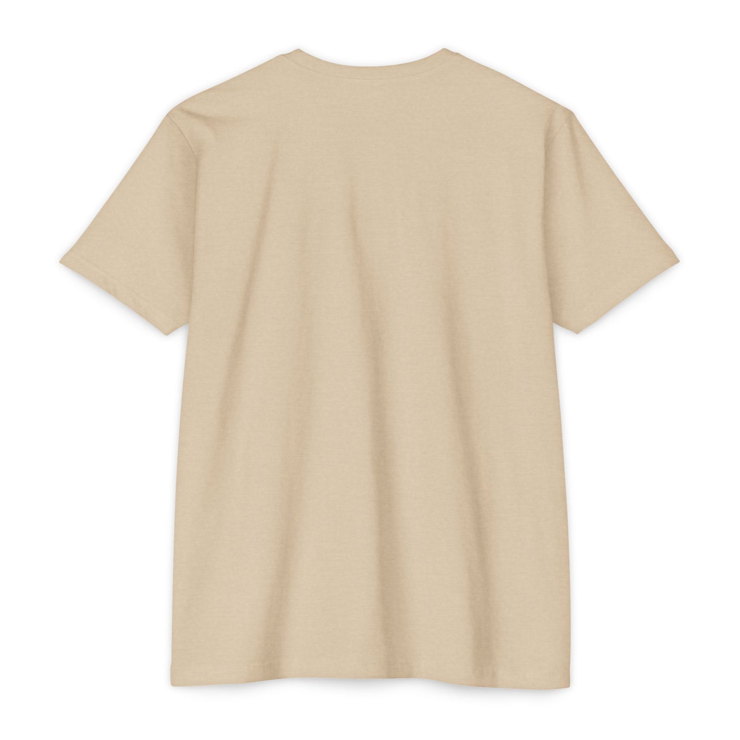 Aethereus T-Shirt - 'It's a Chicken' Design